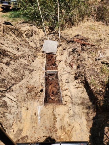 Roots taken over a leach drain