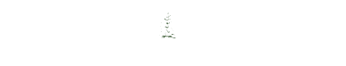 Norfolk Septics and Soakwells Company Logo